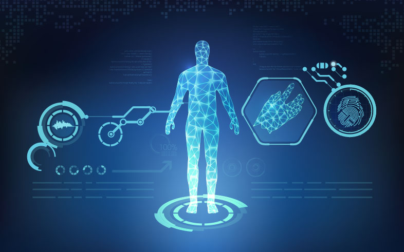 Clinical Laboratory and Biometrics Measures Used to Assess Risk