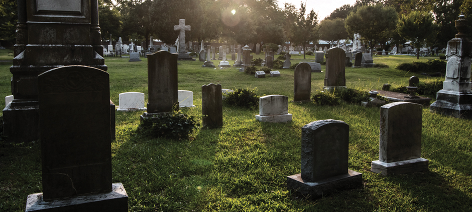 A Long Stroll Through Avoca Cemetery—An actuarial study … and a few meditations and meanderings