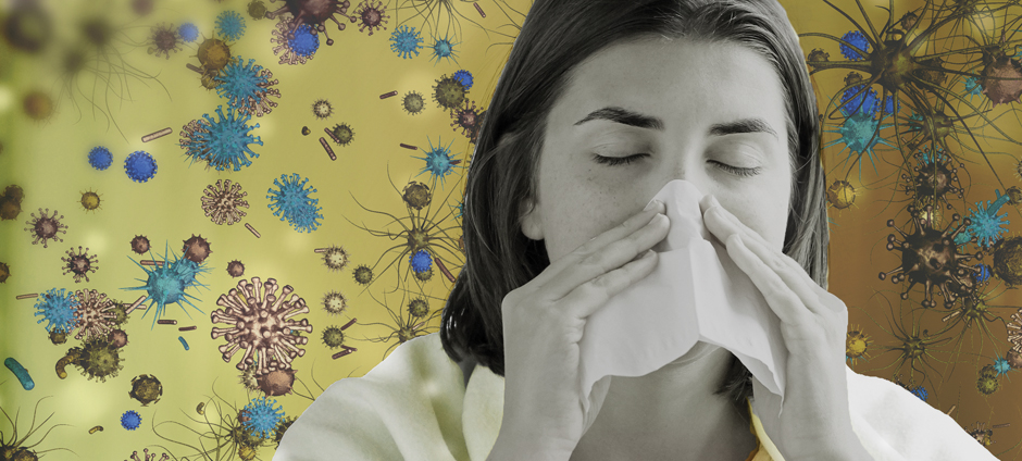 Flu Review—a brief history and analysis of influenza risk