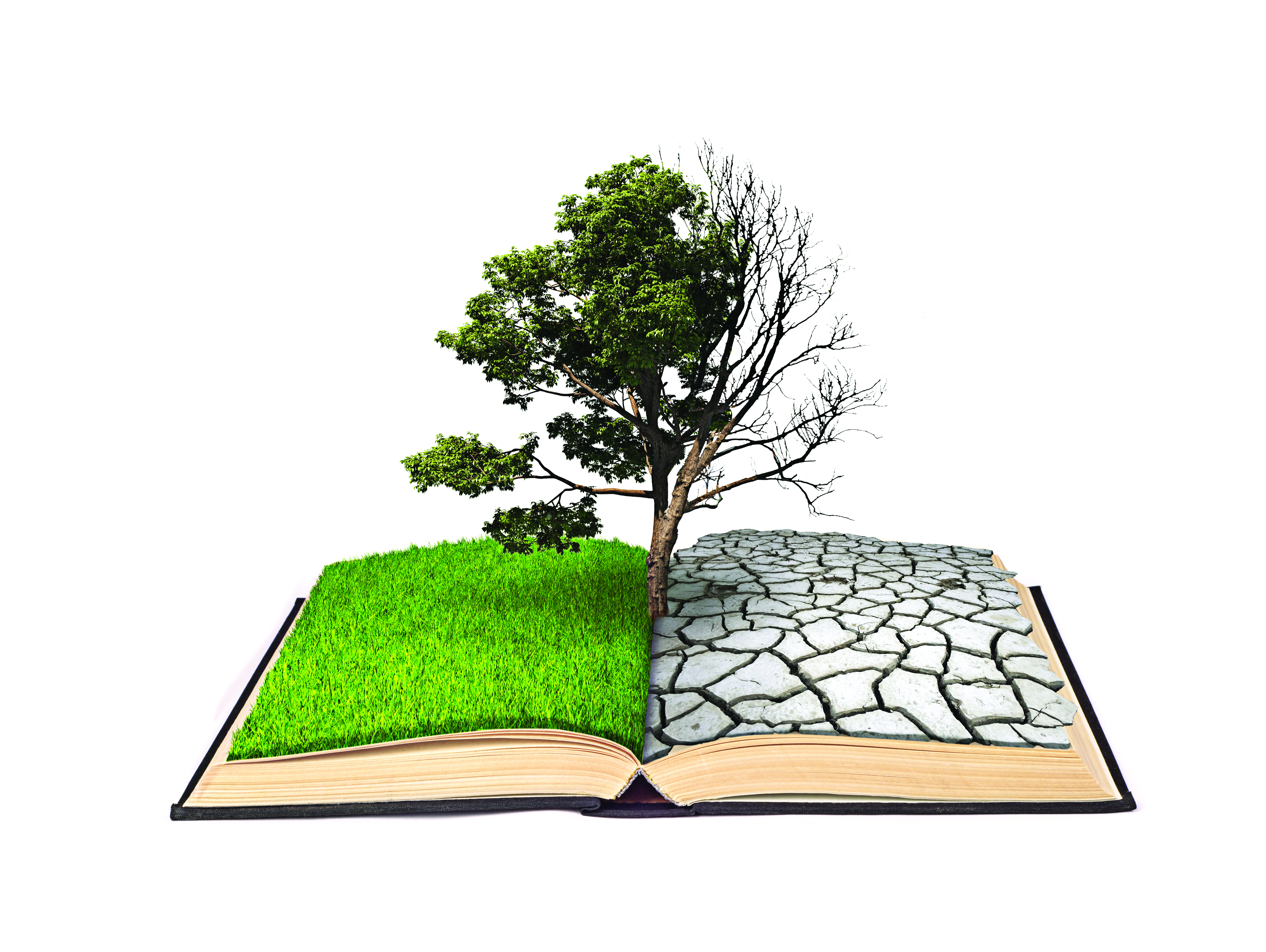 Life and Death—Twin Pillars of Demography