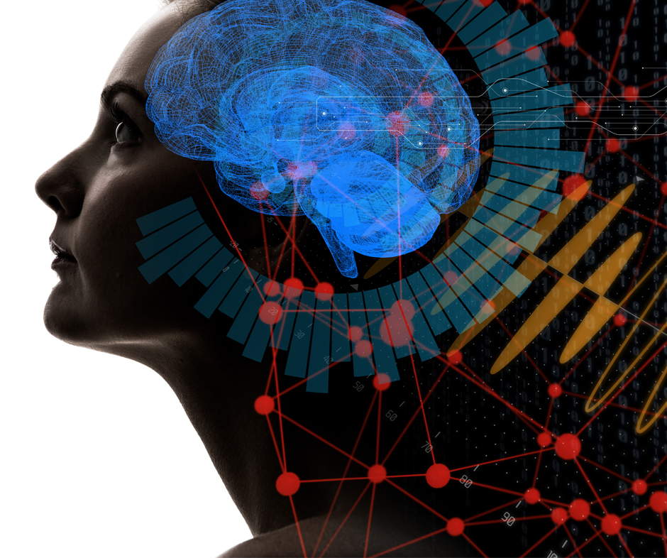 Skynet’s Not Coming … Yet—Artificial intelligence is a powerful tool that is transforming the business landscape, but humans are as essential as ever