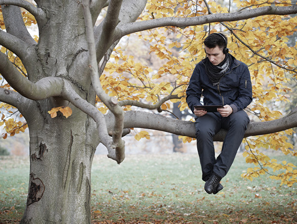 Out on a Limb