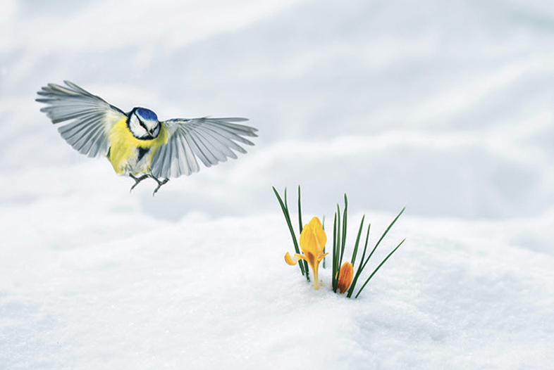 Has Spring Finally Arrived?