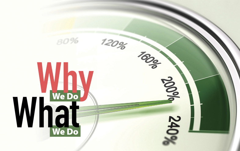 Why We Do What We Do