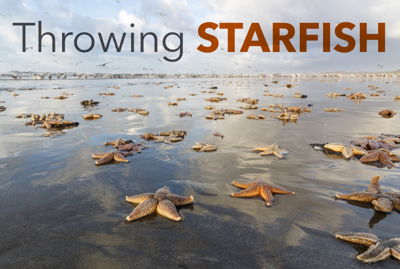 Throwing Starfish: The Quest to Save a Million Lives