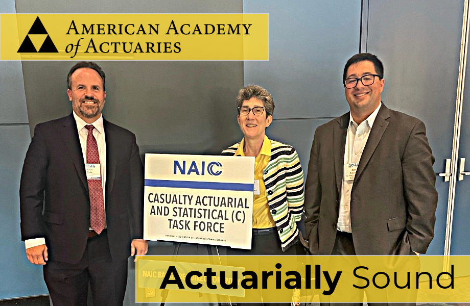 Chicago Was Academy’s Kinda Town to Talk Policy at NAIC