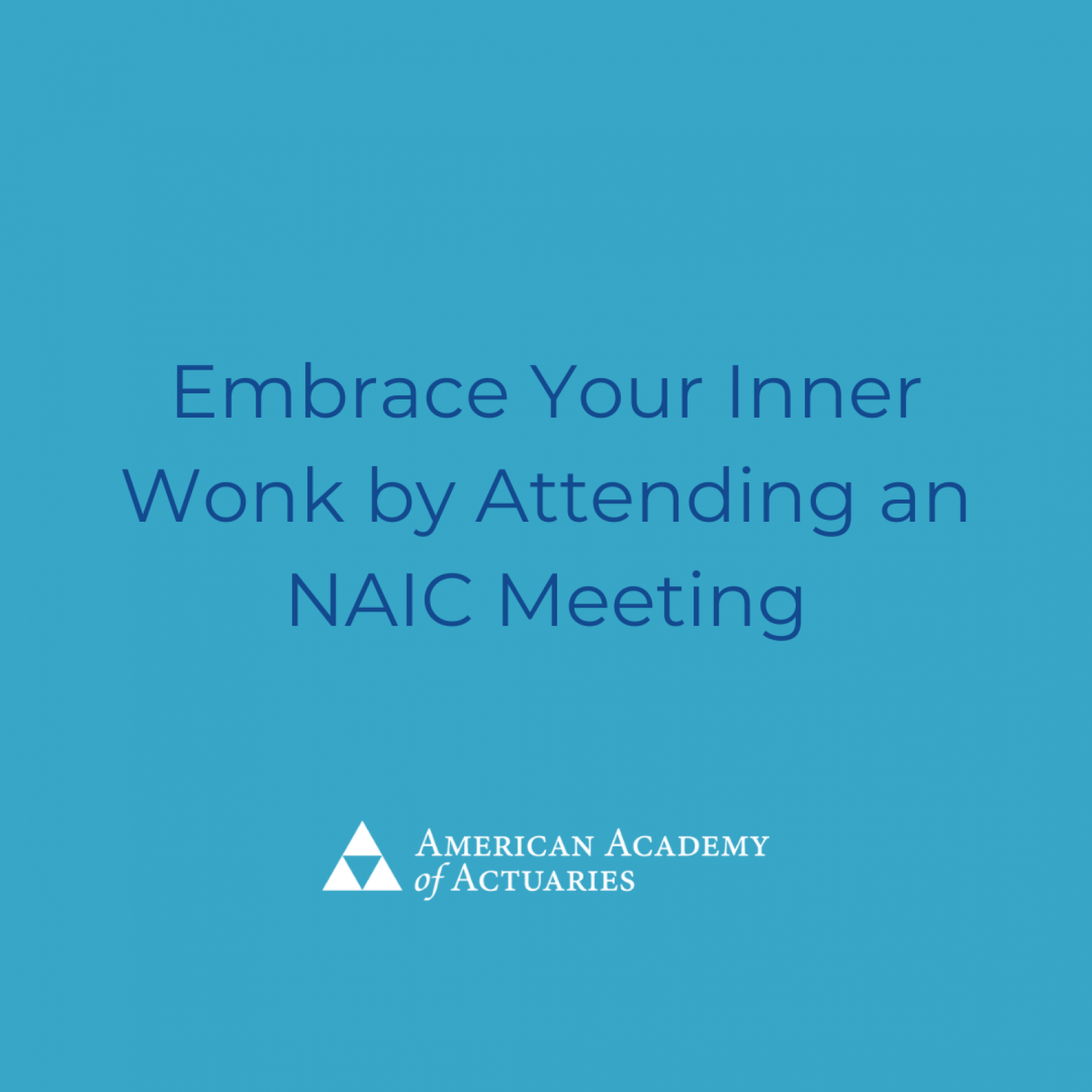 Embrace Your Inner Wonk by Attending an NAIC Meeting