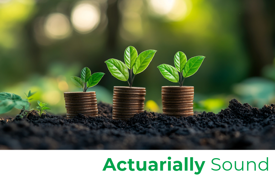 Academy’s Life, Retirement Councils Provide Essential Information for Lifetime Income Security