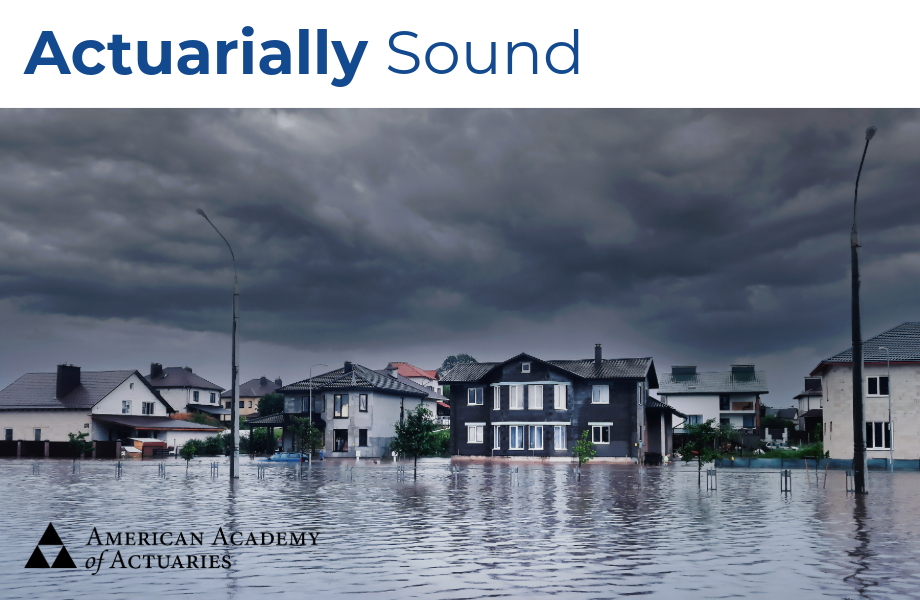 The Future of the National Flood Insurance Program